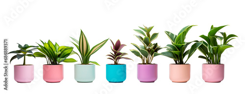 Different colorful pots with interior plants over isolated transparent background