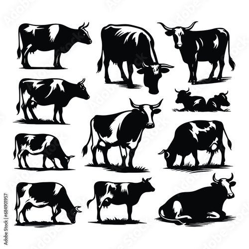 Set of cow silhouettes isolated on a white background, Vector illustration.