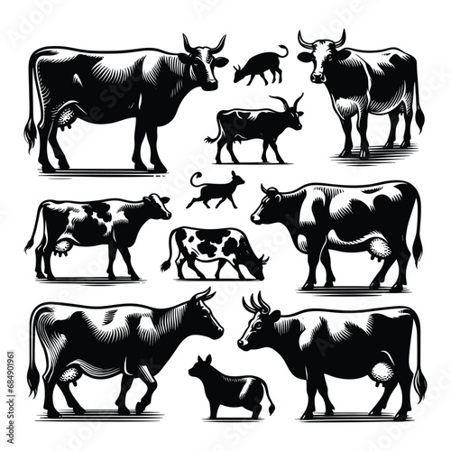 Set of cow silhouettes isolated on a white background, Vector illustration.