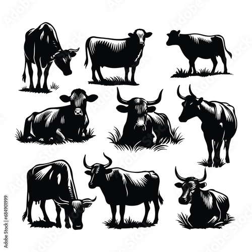 Set of cow silhouettes isolated on a white background, Vector illustration.