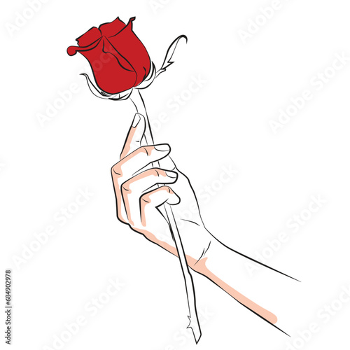 sketch woman hand holding a red ros