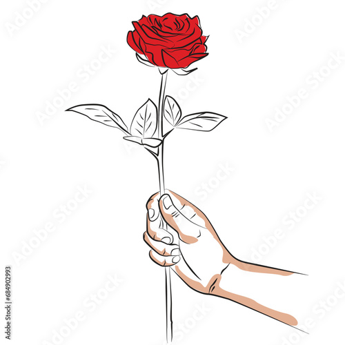 sketch woman hand holding a red ros