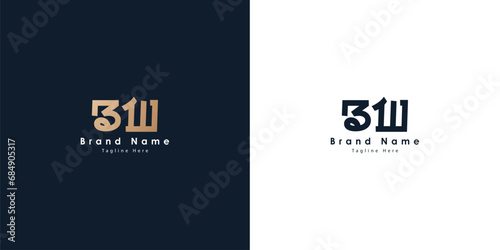 BW Logo design in Chinese letters