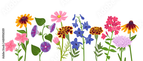 vector drawing flowers at white background, hand drawn botanical illustration