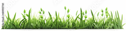 a row of 3d green grass on a white background.
