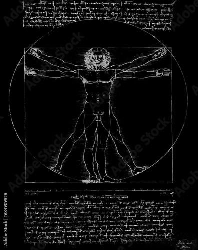 Vitruvian Man by Leonardo Da Vinci - Illustration Silver on Black