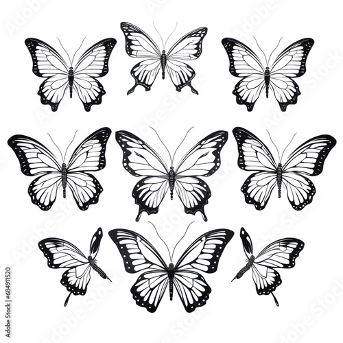Set of Black Butterfly in Shadow. Set of Butterfly black icon. Butterfly silhouette isolate png. © Sachchakorn