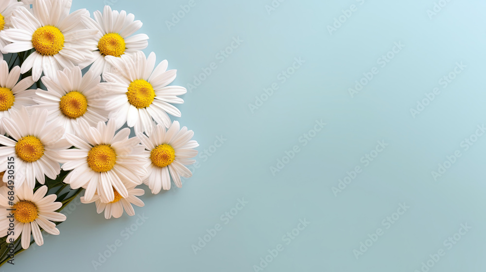 Daisy bunch isolated on blue background Copy space, summer, spring Daisy bunch isolated on blue background Copy space, summer, spring