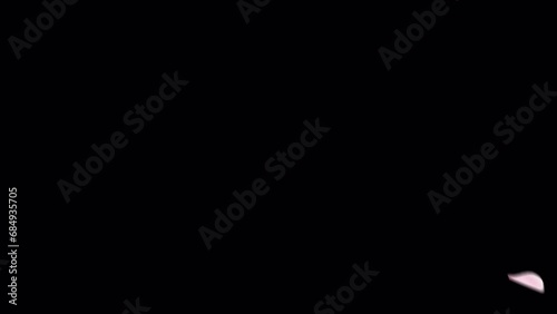 Wallpaper Mural Cherry blossom explosion on alpha you can place on footage or background and easier to adjust colour.
 Torontodigital.ca