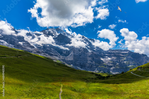 Panoramic view of idyllic mountain scenery in the Alps with fresh green meadows in bloom on a beautiful sunny day in summer, Switzerland. Idyllic mountain landscape in the Alps with meadows in summer. © daliu