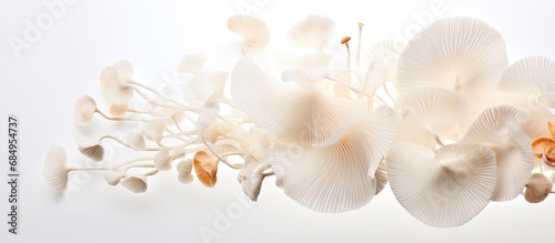 In a captivating abstract composition, the stunning, isolated white background brings focus to the delicate white shimeji mushroom, a healthy and nutrient-rich vegetable widely used in Asian and