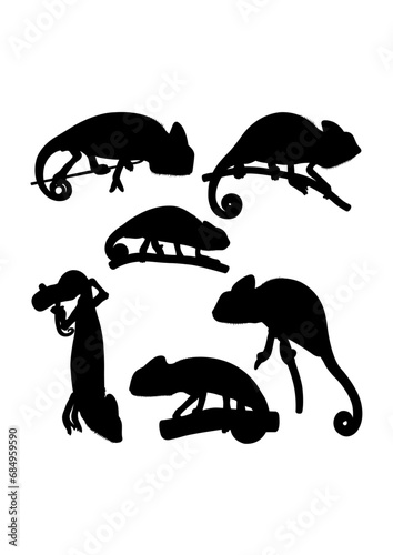 Chameleon animal silhouettes
