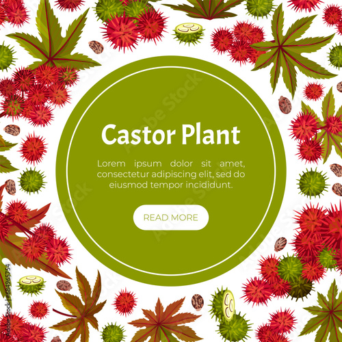 Castor Plant Banner Design with Leaves and Inflorescence Vector Template