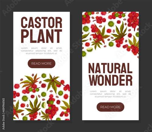 Castor Plant Banner Design with Leaves and Inflorescence Vector Template