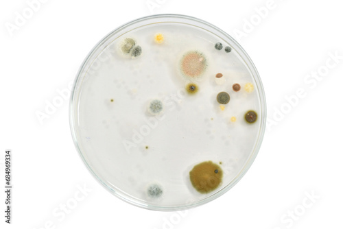 Colony morphology of Yeast and mould. Fungal colony morphology. Fungal growth in DG18. Dichloran Glycerol media. Incubated plates.