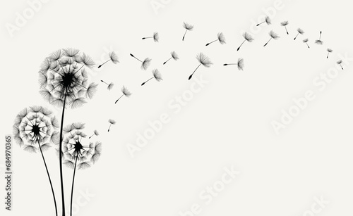 Fototapeta Naklejka Na Ścianę i Meble -  Dandelions on the cream background. Vector dandelion.Card with abstract flowers, dandelions