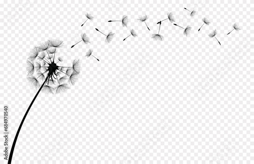 Dandelions on the transparent background. Vector dandelion.Card with abstract flowers, dandelions