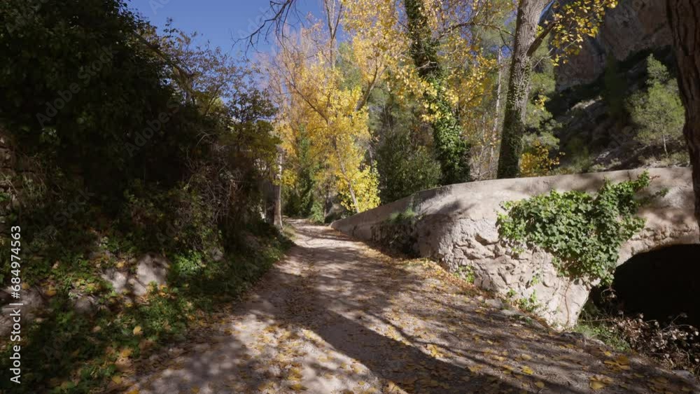 Path in mediterranean forest with stone wall, poplars, pine trees, passing near a stone cottage and mountain rock Path in mediterranean forest with stone wall, poplars, pine trees, passing near a stone cottage and mountain rock