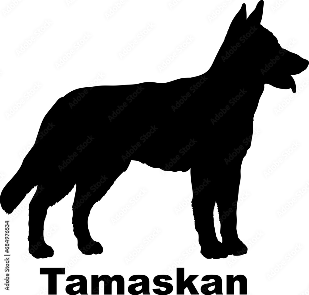 Tamaskan Dog silhouette dog breeds logo dog monogram logo dog face vector