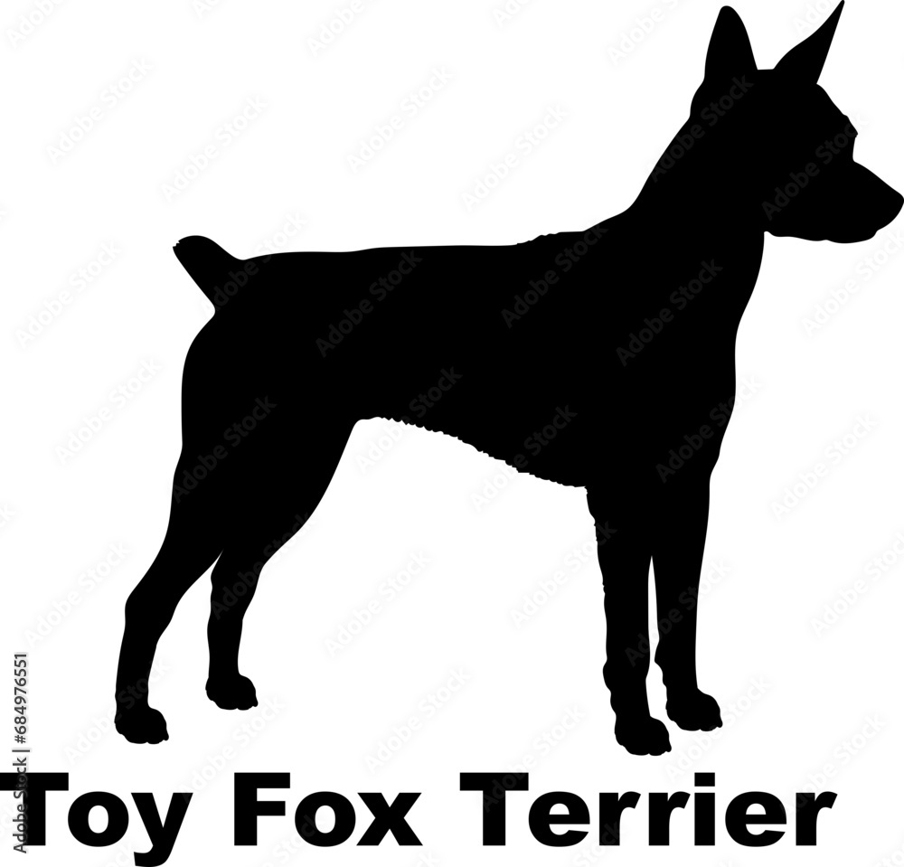 Toy Fox Terrier. Dog silhouette dog breeds logo dog monogram logo dog face vector Toy Fox Terrier. Dog silhouette dog breeds logo dog monogram logo dog face vector