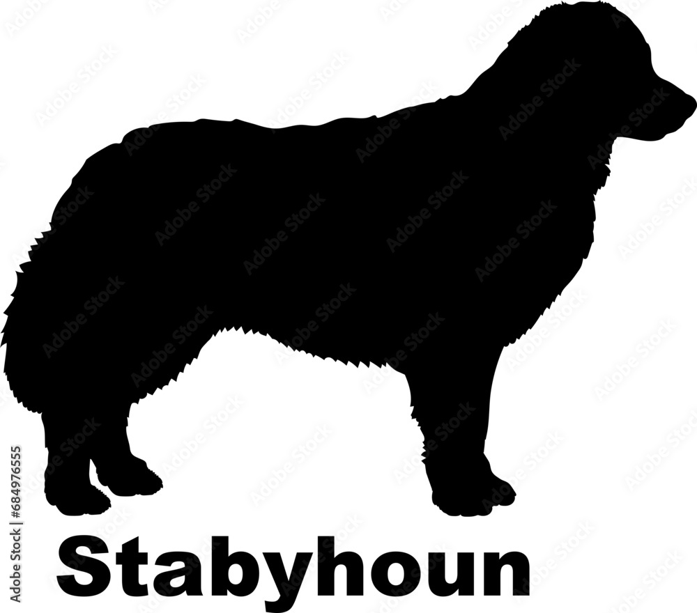 Stabyhoun Dog silhouette dog breeds logo dog monogram logo dog face vector