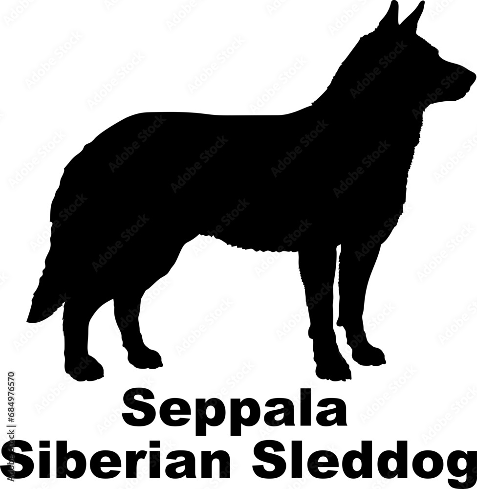 Seppala Siberian Sleddog. Dog silhouette dog breeds logo dog monogram logo dog face vector