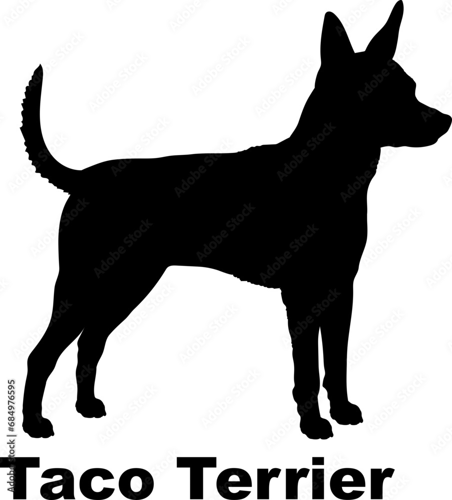  Taco Terrier Dog silhouette dog breeds logo dog monogram logo dog face vector