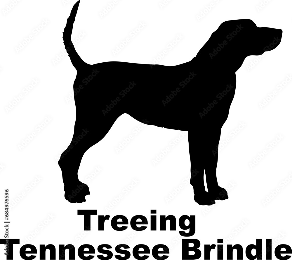 Treeing Tennessee Brindle Dog silhouette dog breeds logo dog monogram logo dog face vector