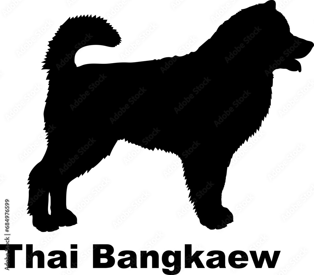 Thai Bangkaew Dog silhouette dog breeds logo dog monogram logo dog face vector
