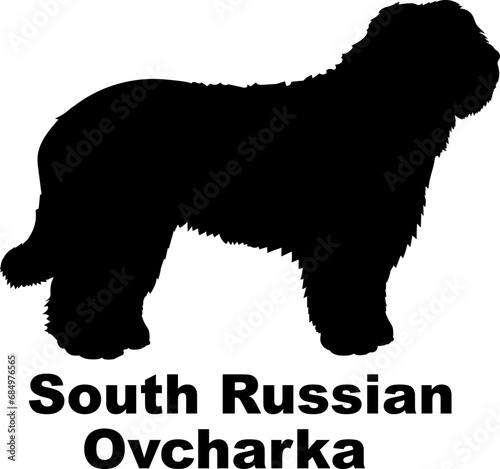 South Russian Ovcharka. Dog silhouette dog breeds logo dog monogram logo dog face vector photo