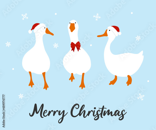 Three cute geese in red hats and bow in winter, vector illustration, christmas and new year card