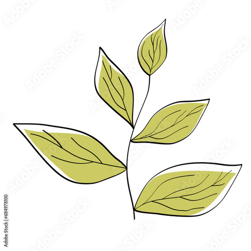 Beautiful pattern for decoration design. Beautiful pattern with green leaves on white background for decoration design.