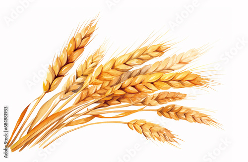 小麦の水彩イラスト