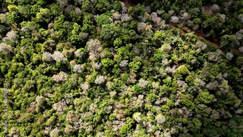 Drone view- Africa Forest- Africa  bush fire. Bush fire on slopes of mount kilimanjaro Loitokitok kenya. loitokitok bush fire. Deforestation on the forest of Loitokitok kenya. Kilimanjaro forest fire photo