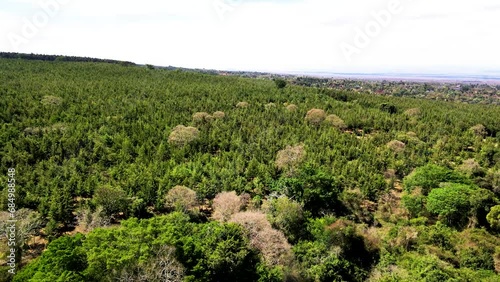 Drone view- Africa Forest- Africa  bush fire. Bush fire on slopes of mount kilimanjaro Loitokitok kenya. loitokitok bush fire. Deforestation on the forest of Loitokitok kenya. Kilimanjaro forest fire photo