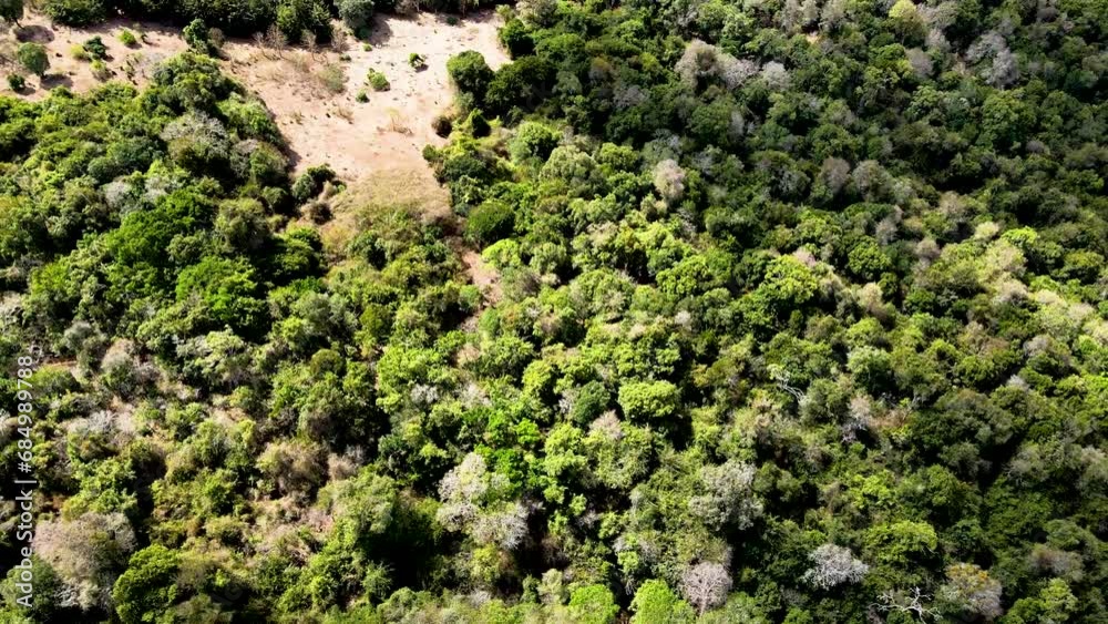 Drone view- Africa Forest- Africa bush fire. Bush fire on slopes of mount kilimanjaro Loitokitok kenya. loitokitok bush fire. Deforestation on the forest of Loitokitok kenya. Kilimanjaro forest fire Drone view- Africa Forest- Africa bush fire. Bush fire on slopes of mount kilimanjaro Loitokitok kenya. loitokitok bush fire. Deforestation on the forest of Loitokitok kenya. Kilimanjaro forest fire