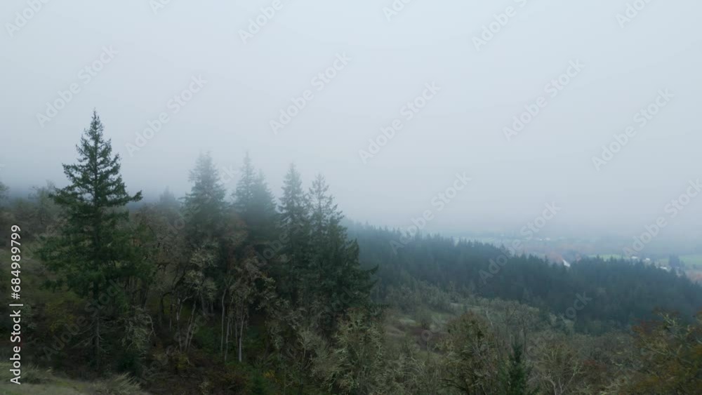 Drone shot flying towards tree line on a foggy day. Drone shot flying towards tree line on a foggy day.