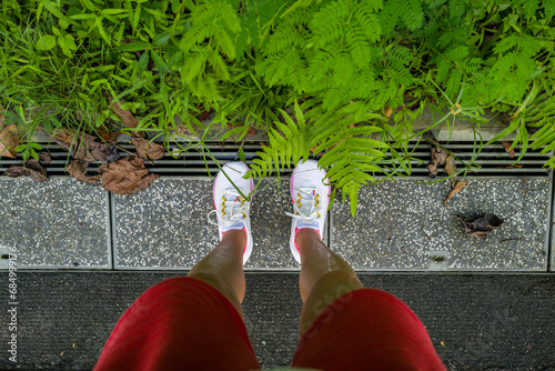 Legs of the woman wearing trainers standing on the road next to the tropical plants photo