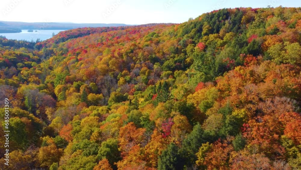relaxing high aerial flight over multi-colored red and orange hues of a forest in autumn relaxing high aerial flight over multi-colored red and orange hues of a forest in autumn