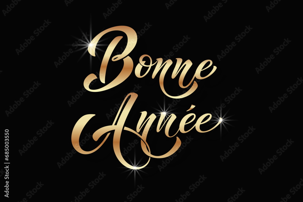 Bonee Annee and Joyeux noel. Merry Christmas card template with greetings in French.