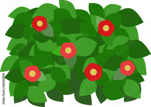 シンプルな赤い花が咲いた生垣のベクターイラスト