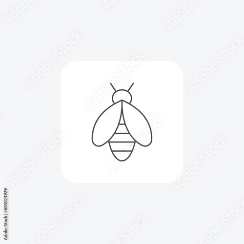 Bee, Pollinator, Insect, Honeybee,  thin line icon, grey outline icon, pixel perfect icon