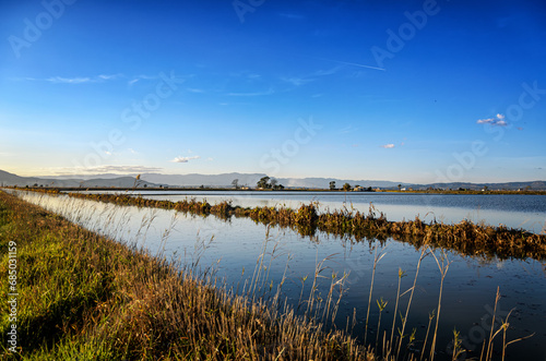 The Ebro Delta is a big wetland area and a unique natural region located in Spain.