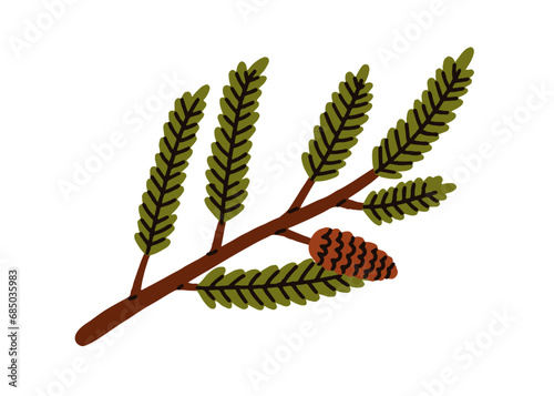 Green conifer branch with needles and cone. Evergreen coniferous tree twig, s...