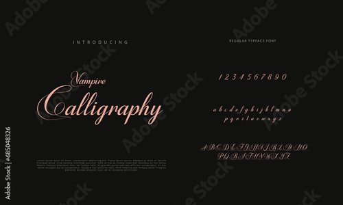 Handwritten Script font. Hand drawn brush style modern calligraphy cursive typeface. Hand Lettering and Custom Typography alphabet for Designs: Logo, Greeting Cards, Poster. Vector Brush type set.
