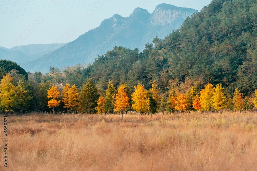 Picturesque landscape with a row of bright orange trees against a backdrop of majestic mountains