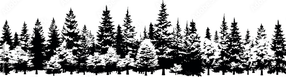 Set of horizontal silhouettes of coniferous spruce fir trees, portrayed on a transparent background. Generative AI - obrazy, fototapety, plakaty 