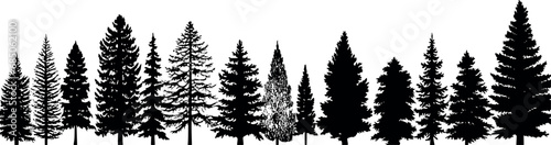 Fir trees silhouettes set on transparent background. Coniferous spruce in a horizontal arrangement. Generative AI