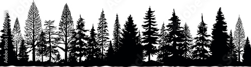 Silhouettes of coniferous spruce fir trees set in a horizontal arrangement  placed on a transparent background. Generative AI