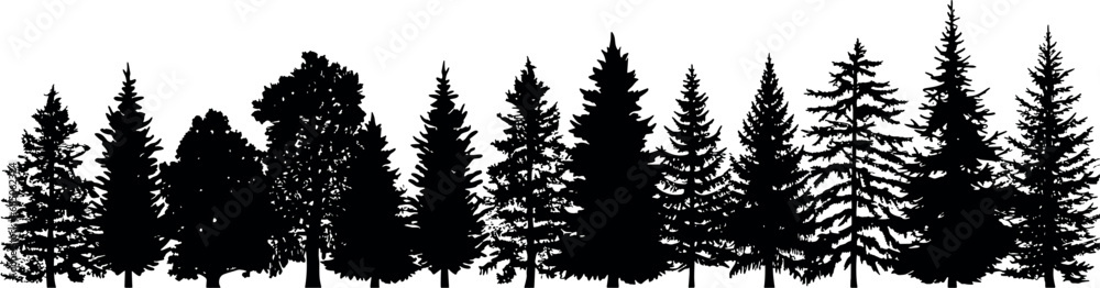 A set of horizontal silhouettes featuring coniferous spruce fir trees, gracefully standing tall against a transparent background. Generative AI